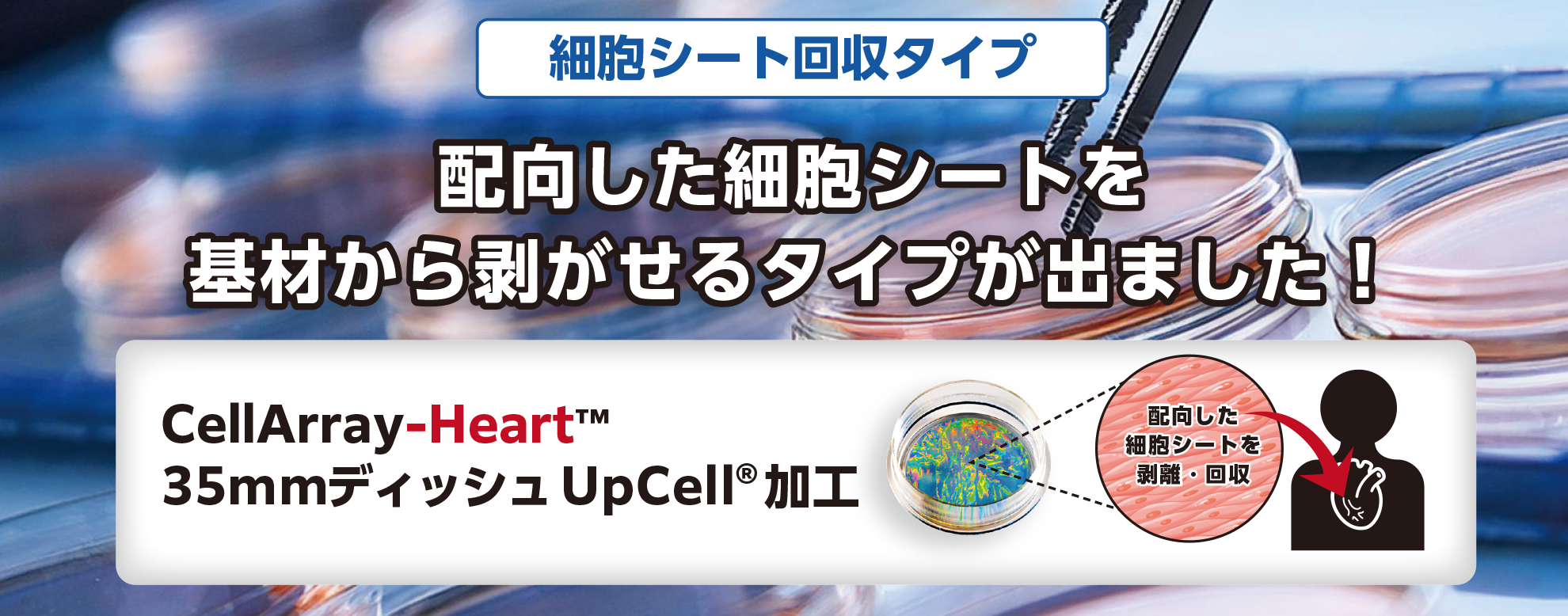 TOP_Upcell